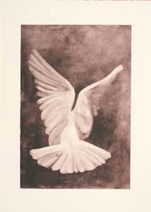 CMS4Artists - Griffin Mill Dove I by Sue Drennen